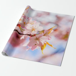 Ein schöner Haufen Sakura-Blume im rosa Hintergrun Geschenkpapier