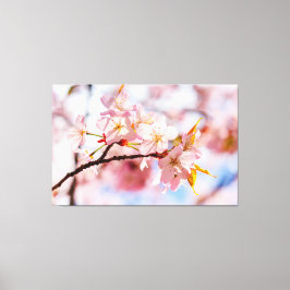 Ein schöner Haufen Sakura-Blume im rosa Hintergrun Leinwanddruck
