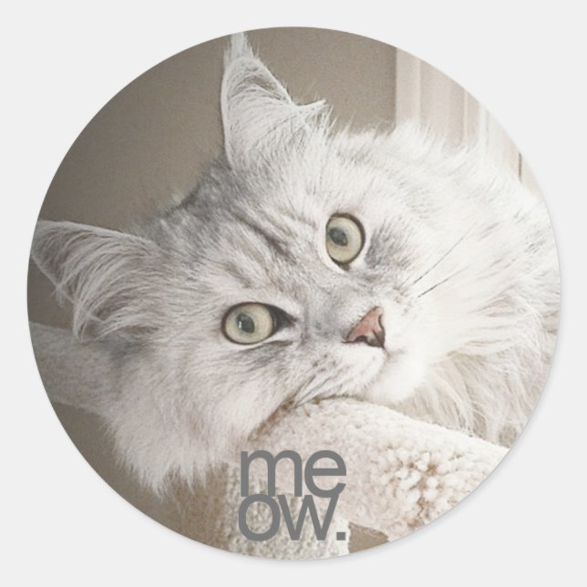 Ein schöner Meow Sticker (Vorderseite)
