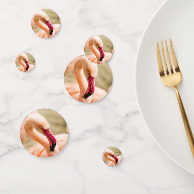 Ein schöner rosa Flamingo Konfetti (Gruppe)