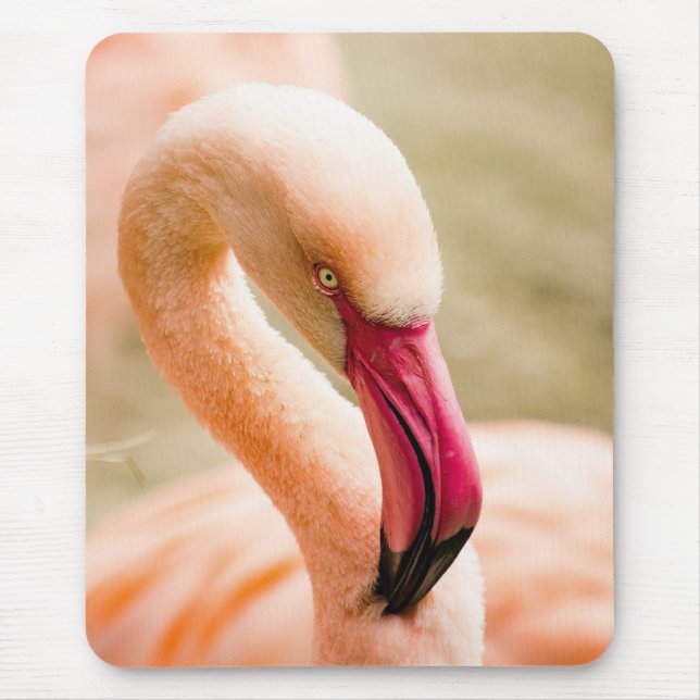 Ein schöner rosa Flamingo Mousepad (Vorne)