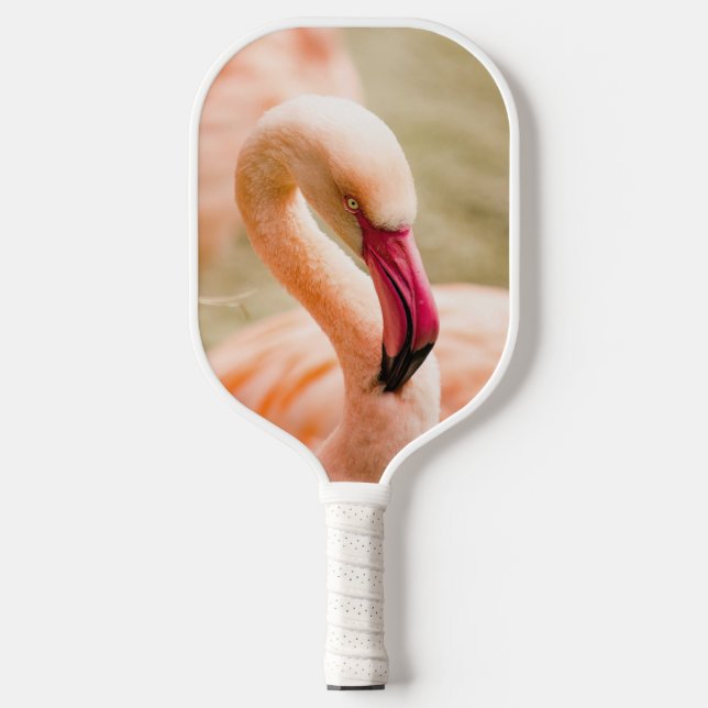 Ein schöner rosa Flamingo Pickleball Schläger (Vorderseite)
