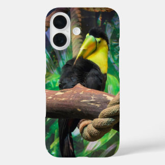 ein schöner, schwarz und gelb Toucan iPhone 16 Hülle