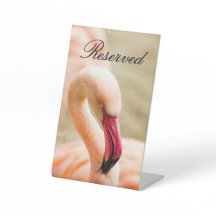 Ein schönes rosa Flamingo vorbehalten