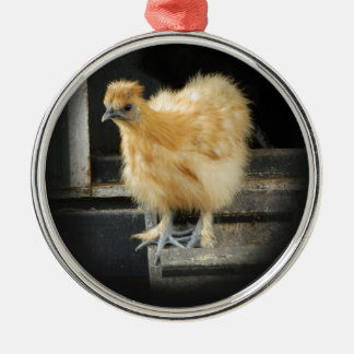 ein schönes Silkie kleines Huhnbild Silbernes Ornament