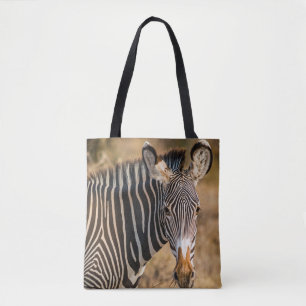 EIN SCHÖNES ZEBRA IN SAMBURU NATIONALE RESERVE TASCHE