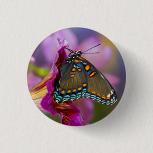 Ein Schwalbenschwanz-Schmetterling Button