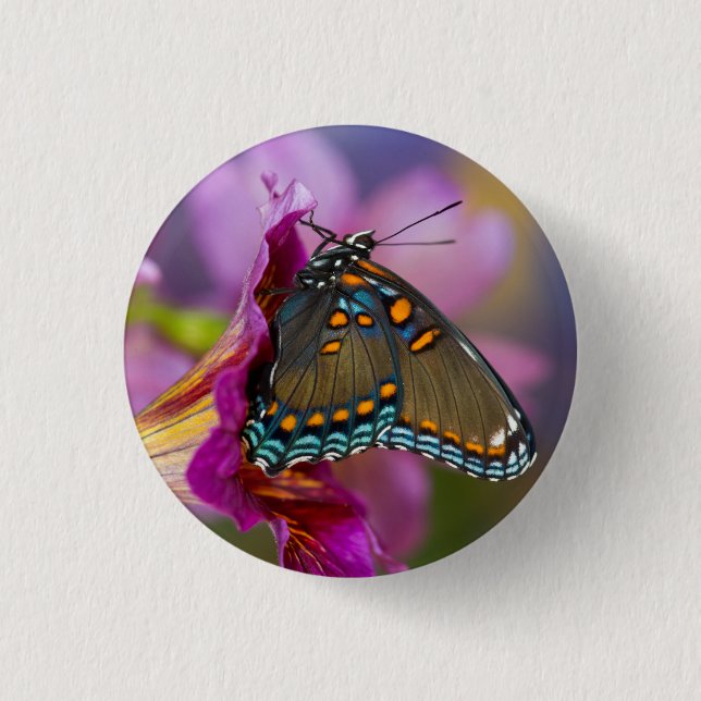 Ein Schwalbenschwanz-Schmetterling Button (Vorderseite)
