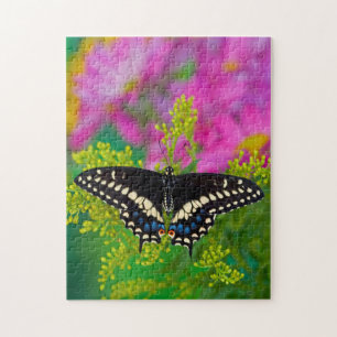 Ein Schwalbenschwanz-Schmetterling landet