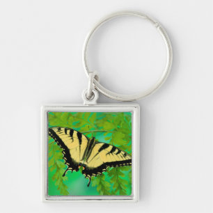 Ein Schwalbenschwanz Schmetterling landet Schlüsselanhänger