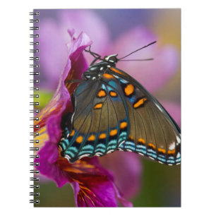 Ein Schwalbenschwanz Schmetterling Notizblock