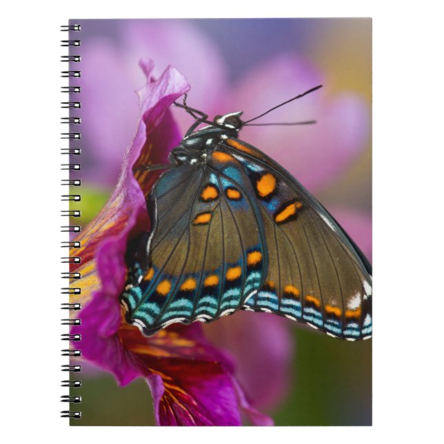 Ein Schwalbenschwanz Schmetterling Notizblock (Vorderseite)