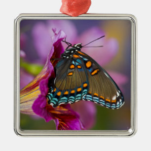 Ein Schwalbenschwanz Schmetterling Ornament Aus Metall