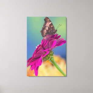 Ein Schwalbenschwanz Schmetterling   Papilio Multi Leinwanddruck
