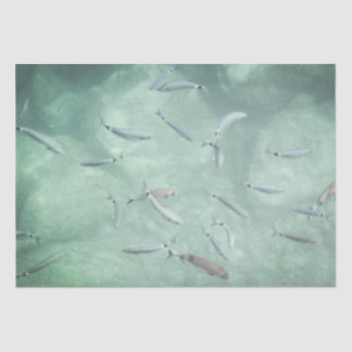 Ein Schwarm Fische Seidenpapier