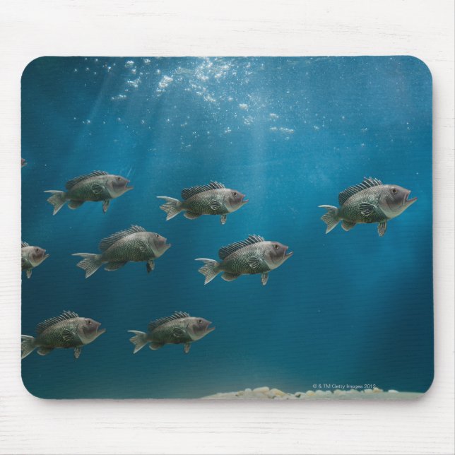 Ein schwarzer Seebarsch führt zur Schule Mousepad (Vorne)