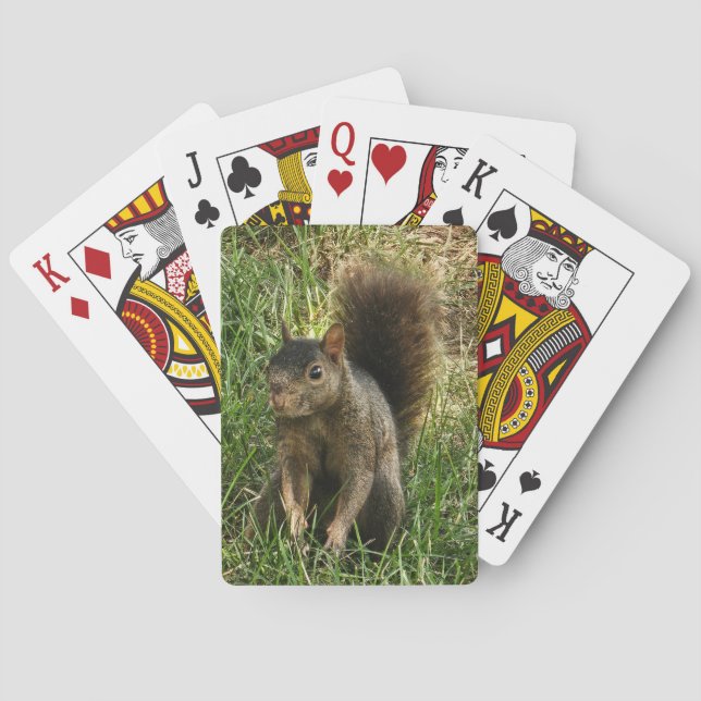 Ein schwarzes Eichhörnchen Spielkarten (Rückseite)