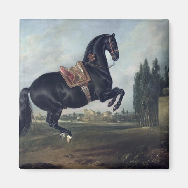 Ein schwarzes Pferd darstellend den Courbette Magnet (Vorne)