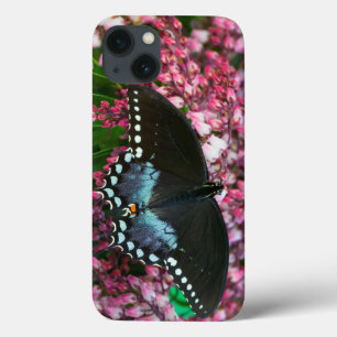Ein Schwefel-Schmetterling   in der Phoebis Case-Mate iPhone Hülle