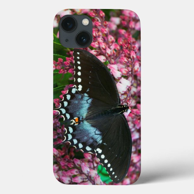Ein Schwefel-Schmetterling | in der Phoebis Case-Mate iPhone Hülle (Rückseite)