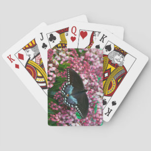 Ein Schwefel-Schmetterling In Der Phoebis Famili Spielkarten