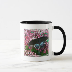 Ein Schwefel-Schmetterling   In Der Phoebis-Famili Tasse