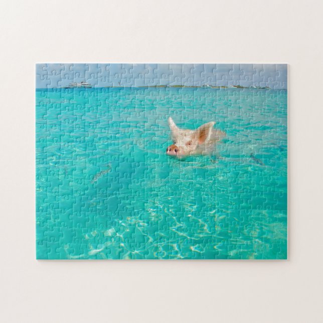 Ein Schwein schwimmt auf den Bahamas. (Horizontal)