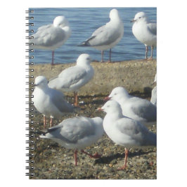 Ein Seagulls-Notebook Notizblock