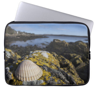 Ein Seashell sitzt auf einem Felsen Dumfries, Laptopschutzhülle