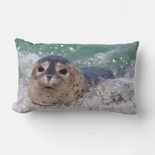 Ein Seehundbaby surft Lendenkissen