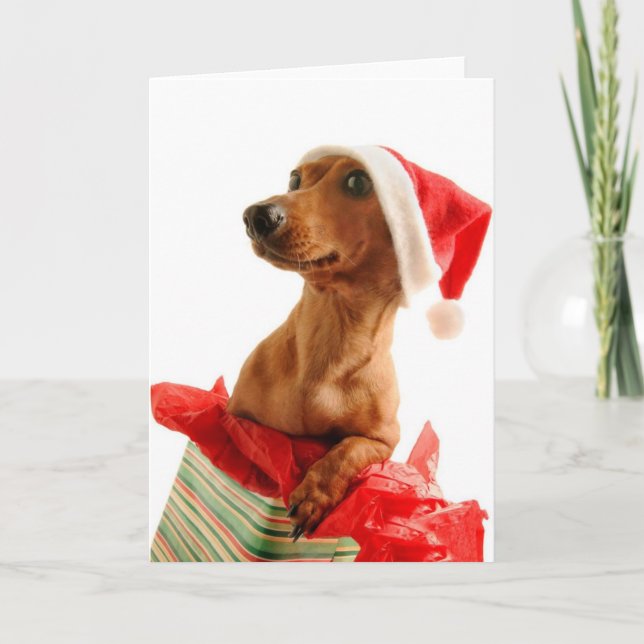 Ein sehr Dackel-Weihnachten Feiertagskarte (Vorderseite)