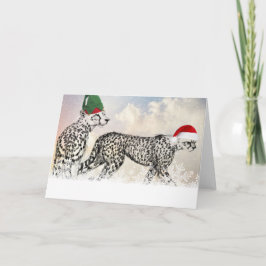 Ein sehr gepflegtes Weihnachten