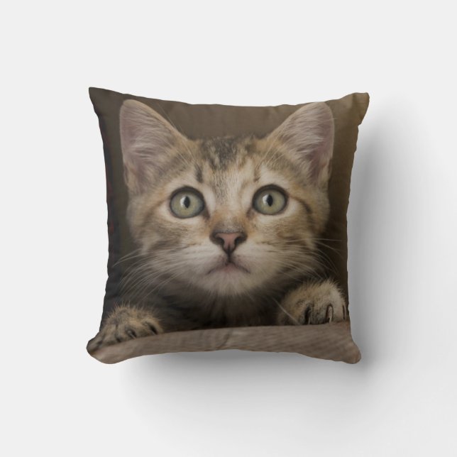 Ein sehr süßes Tabby-Kätzchen Kissen (Vorderseite)