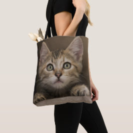 Ein sehr süßes Tabby-Kätzchen Tasche