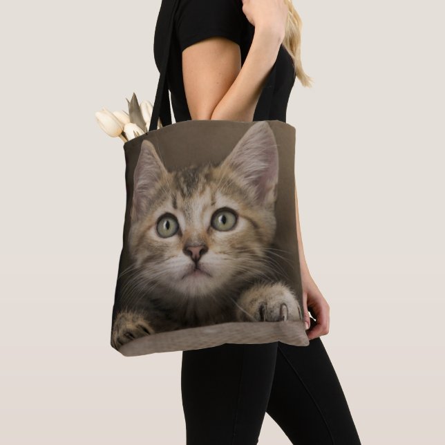 Ein sehr süßes Tabby-Kätzchen Tasche (Von Nahem)