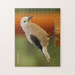 Ein seltsamer Riesenknacker