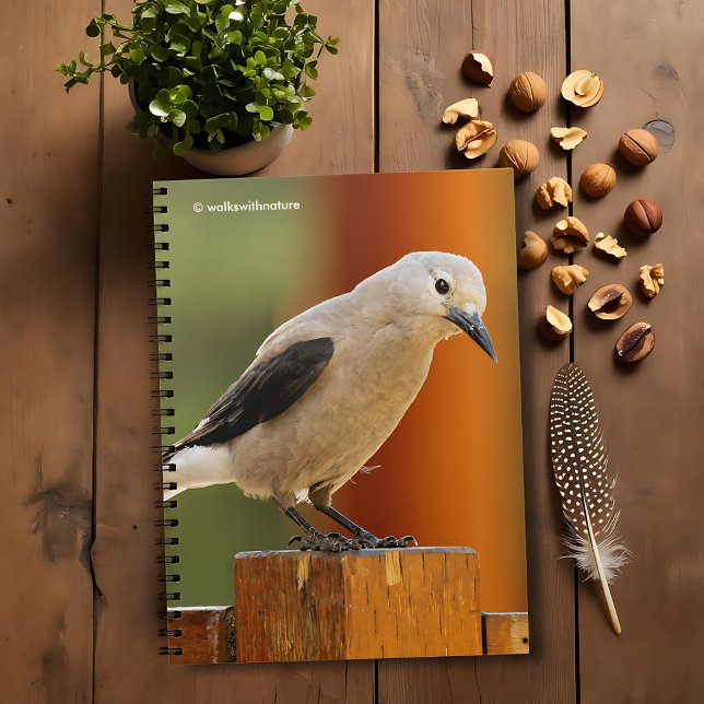 Ein seltsamer Riesenknacker Notizblock (Curious Clark's Nutcracker Journal Cover Photo)