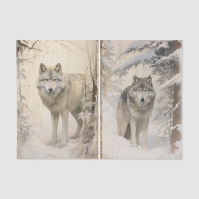 Ein separates Wolfsrudel im Winterwald Seidenpapier (Vorderseite)