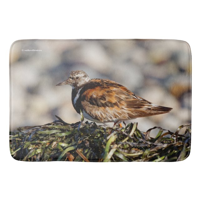 Ein Showstop Ruddy Turnstone Badematte (Vorderseite)