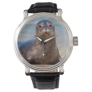 Ein Siegel am Strand entlang der Pazifikküste Armbanduhr