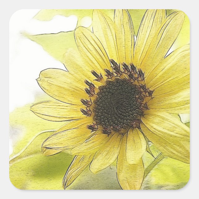 Ein Single Lemon Gelbe Sonnenblume Quadratischer Aufkleber (Vorderseite)