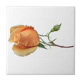 Ein Single Rose Schneiden Fliese