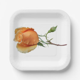 Ein Single Rose Schneiden Pappteller