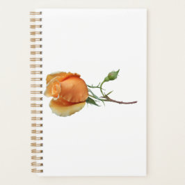 Ein Single Rose Schneiden Planer