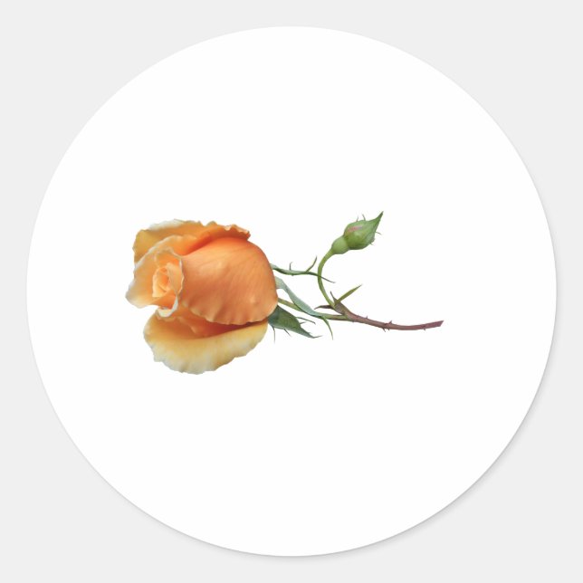 Ein Single Rose Schneiden Runder Aufkleber (Vorderseite)