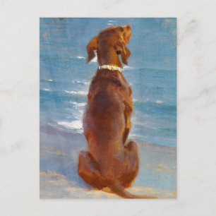 Ein sitzender brauner Hund von P.S. Kroyer Postkarte