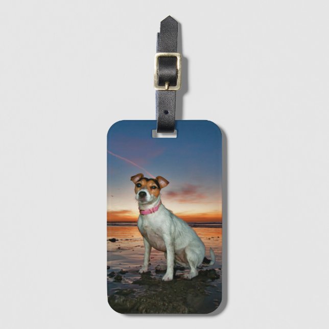 Ein sitzender Strand Jack-Russells Strand-| Gepäckanhänger (Vorderseite Vertikal)