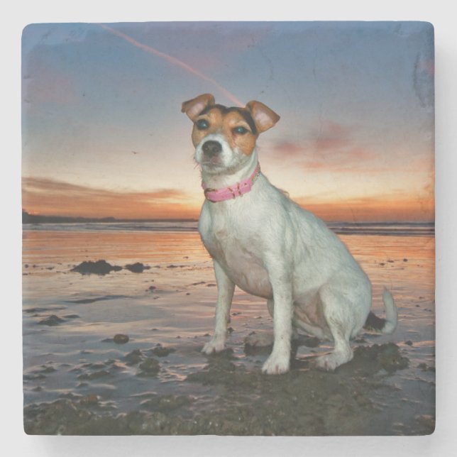 Ein sitzender Strand Jack-Russells Strand-| Steinuntersetzer (Vorderseite)