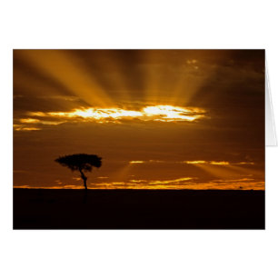 Ein Sonnenaufgang mit offenem Maul im Maasai Mara