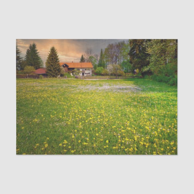 Ein Sonnenuntergang mit weißem und gelbem Blume-Fe Seidenpapier (Vorderseite)